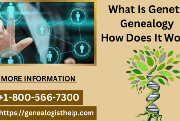 What Is Genetic Genealogy | How Does It Work?