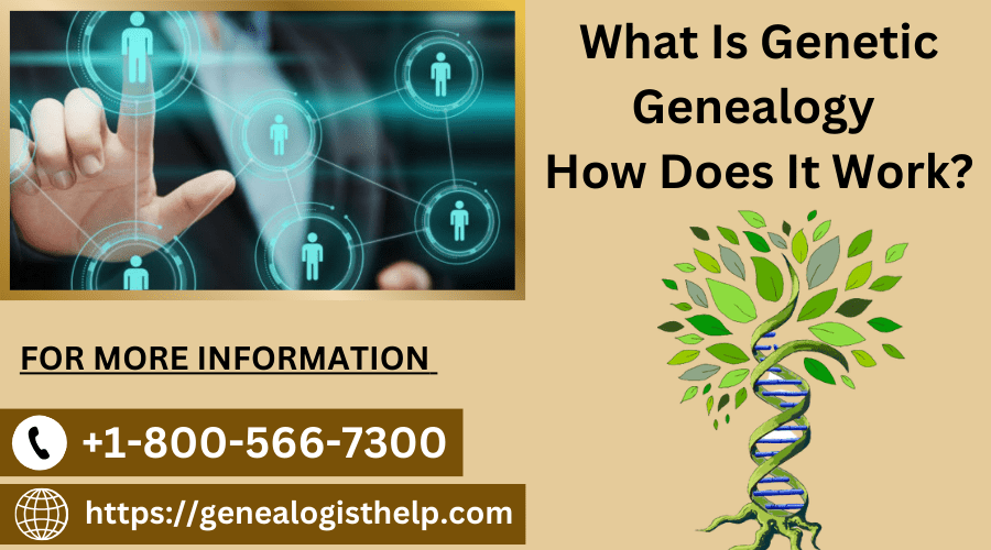 What Is Genetic Genealogy | How Does It Work?