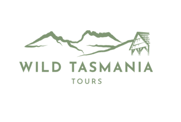 Explore the Natural Beauty of Tasmania Tours