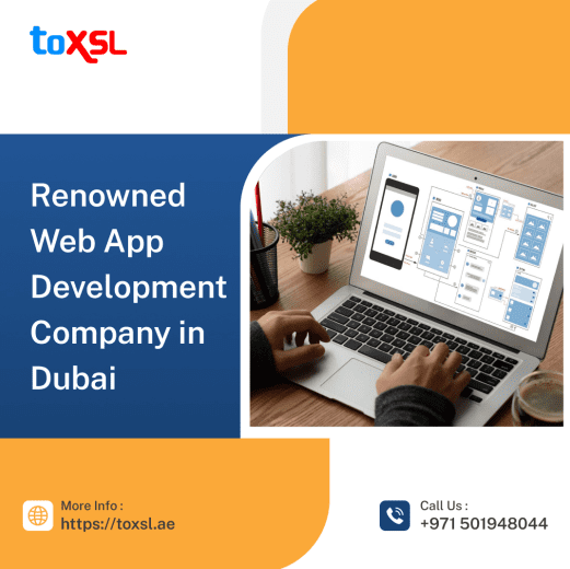 Expert Web Application Development Solutions in Dubai – ToXSL Technologies